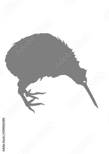 kiwi oiseaux animal