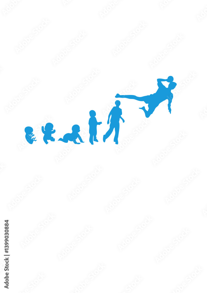 evolution tchoukball foetus humain adulte evolution tchoukball foetus humain adulte
