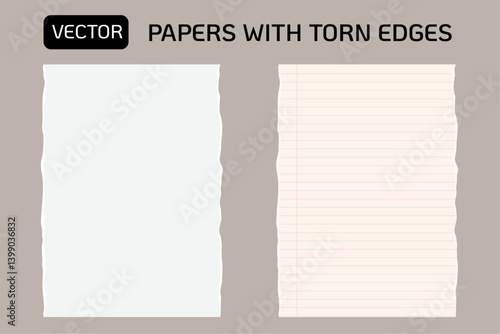 Vector blank papers template with torn edges. Body text background.