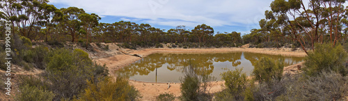 Bromus dam at Norseman, Western Australia, Australia
