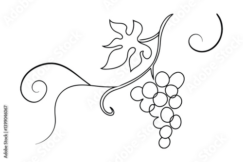 Elegant Grapevine Drawing With Swirls And Leaf Single Line Illustration On White Background