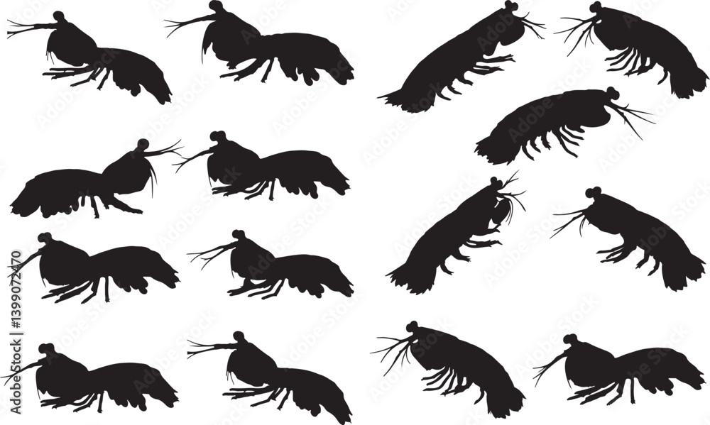 Obraz premium Mantis Shrimp Silhouettes
