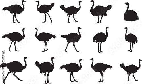 Ostrich Silhouettes