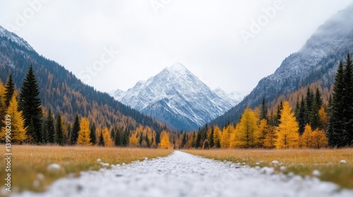 Obraz na płótnie Autumn mountain valley path, snow-capped peak w salonie