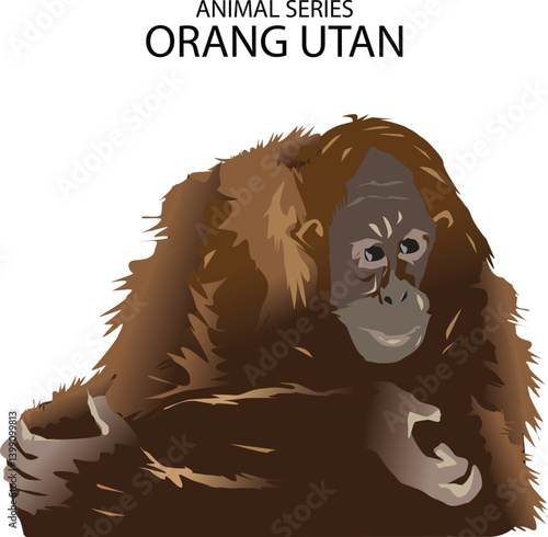 illustrations of ape or. orang utan