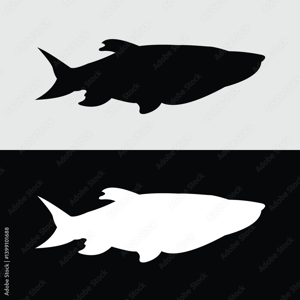 Fototapeta premium masher fish silhouette design. River fish that is starting to attract many fans