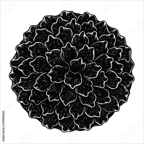Natural Loofah Sponge vector illustrations feature home interior 