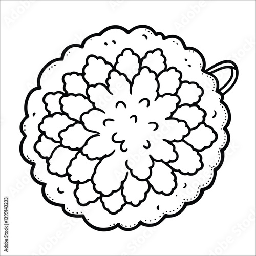 Natural Loofah Sponge vector illustrations feature home interior 
