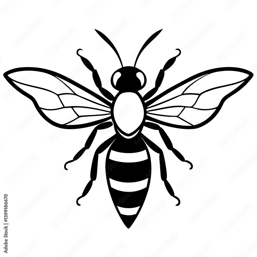 Fototapeta premium Hornet flying with spread wings