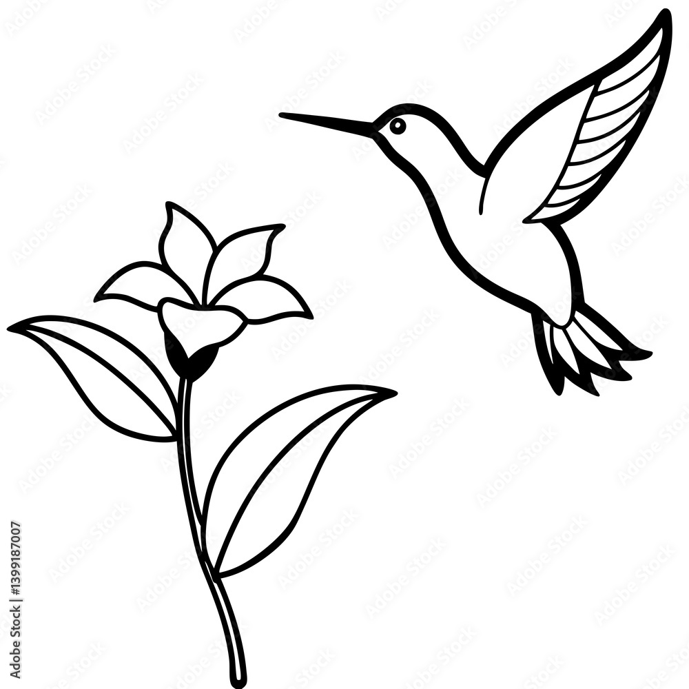 Hummingbird hovering near flower line art Hummingbird hovering near flower line art