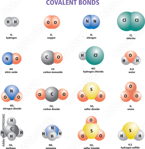 a set of Covalent Bonds Examples and Compounds illustration