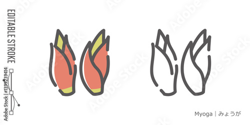 野菜のラインアイコンと色付きアイコンのセット｜みょうが