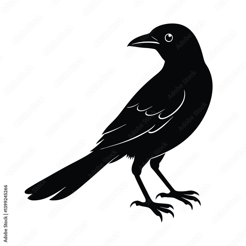 Obraz premium Indian Roller Silhouette Vector | Black and White Indian Roller Bird Illustration