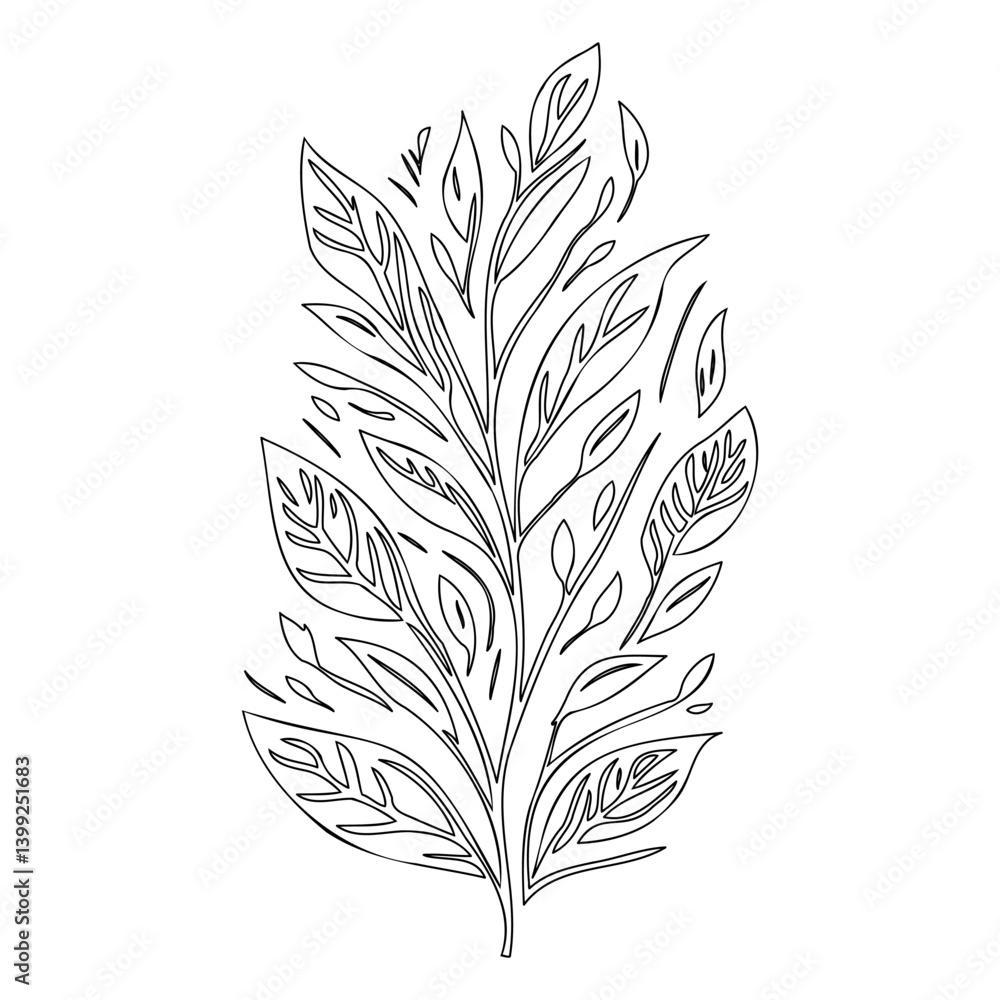 Elegant Botanical Outline Illustration on White Elegant Botanical Outline Illustration on White