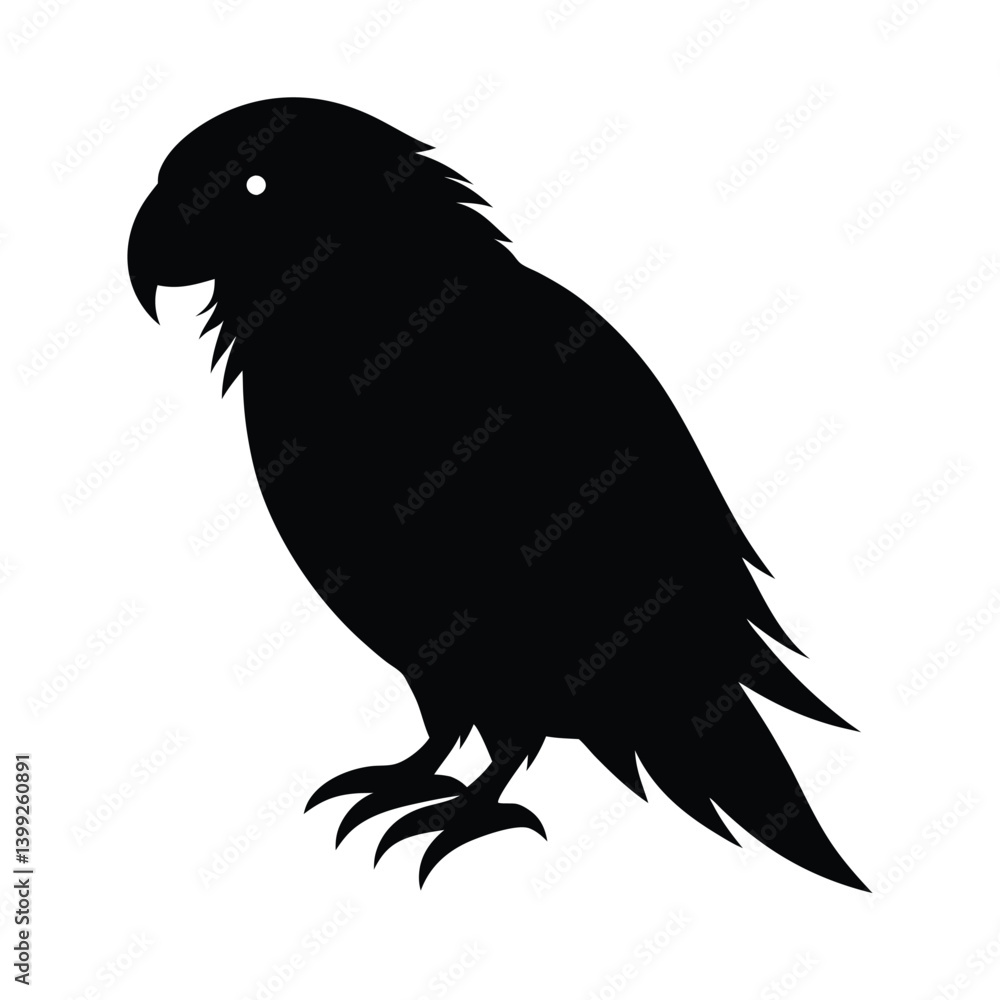 Obraz premium Kakapo Silhouette Vector Art | Black and White Kakapo Bird Illustration