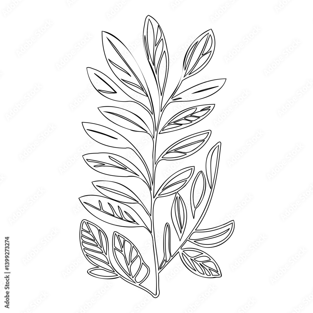 Obraz premium Linear Botanical Branch Vector Illustration Art