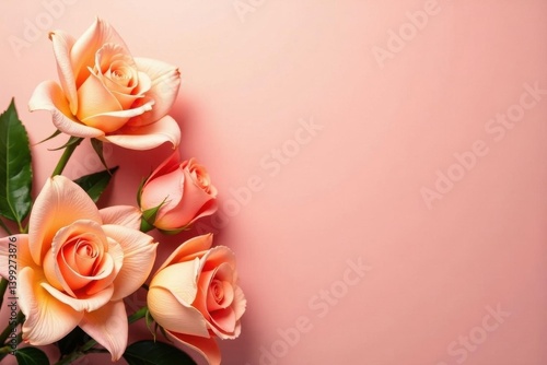 Sun-drenched peach roses & lilies, blush pink backdrop, vibrant, spring