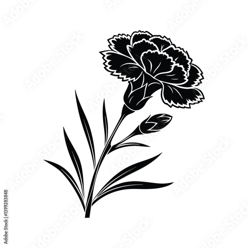 Vector illustration of a carnation flower on a white background