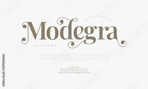 Elegant Swirly Serif Font Vector for Feminine Branding and Beauty Design