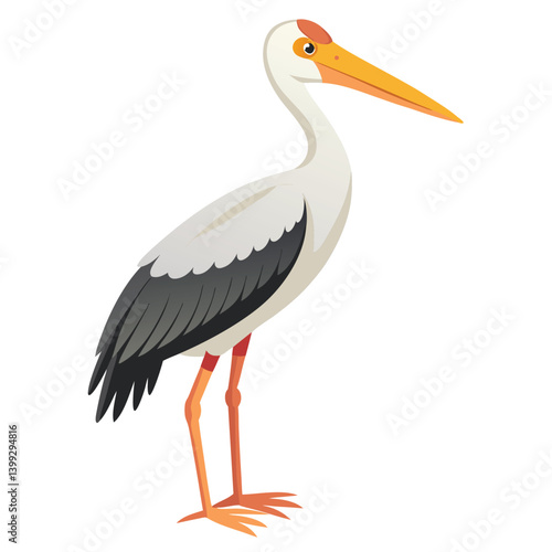 Stork isolated on white background