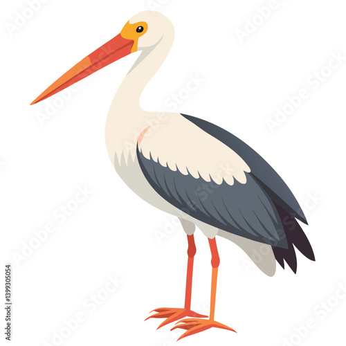 Stork isolated on white background
