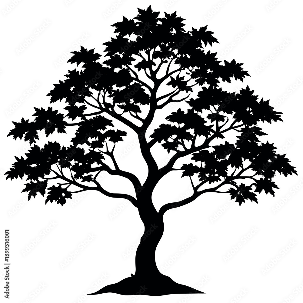 Obraz premium A blood good-Japanese-maple-tree-silhouette-vector 