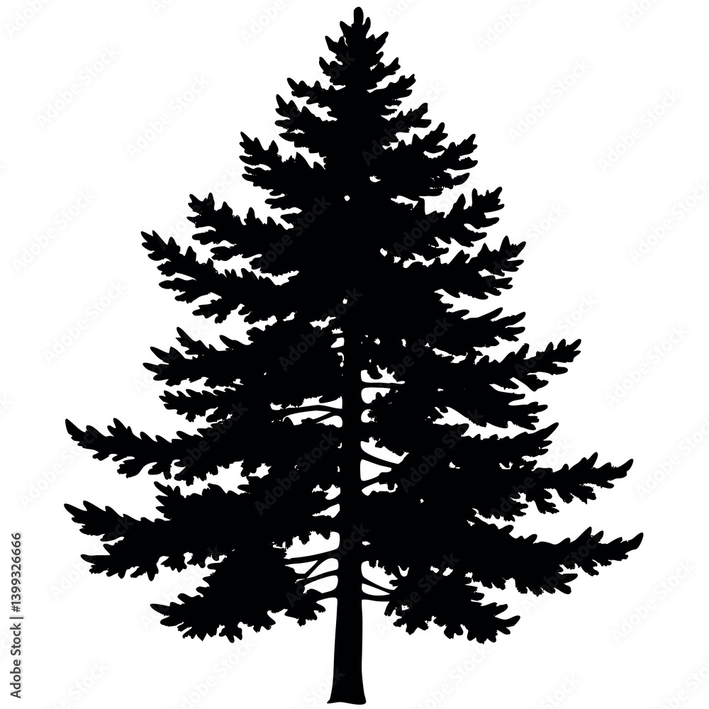 Obraz premium Pine-tree-silhouette 