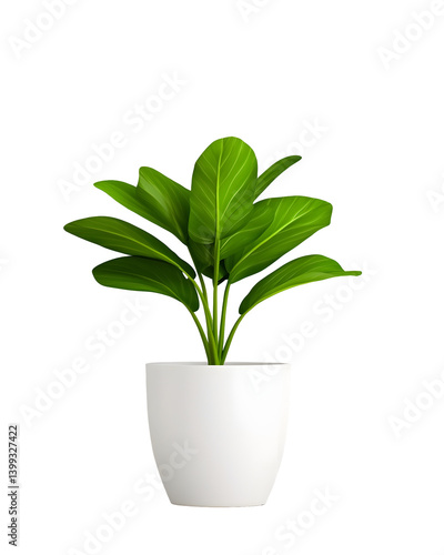 Obraz na płótnie Lush potted plant with verdant foliage w salonie