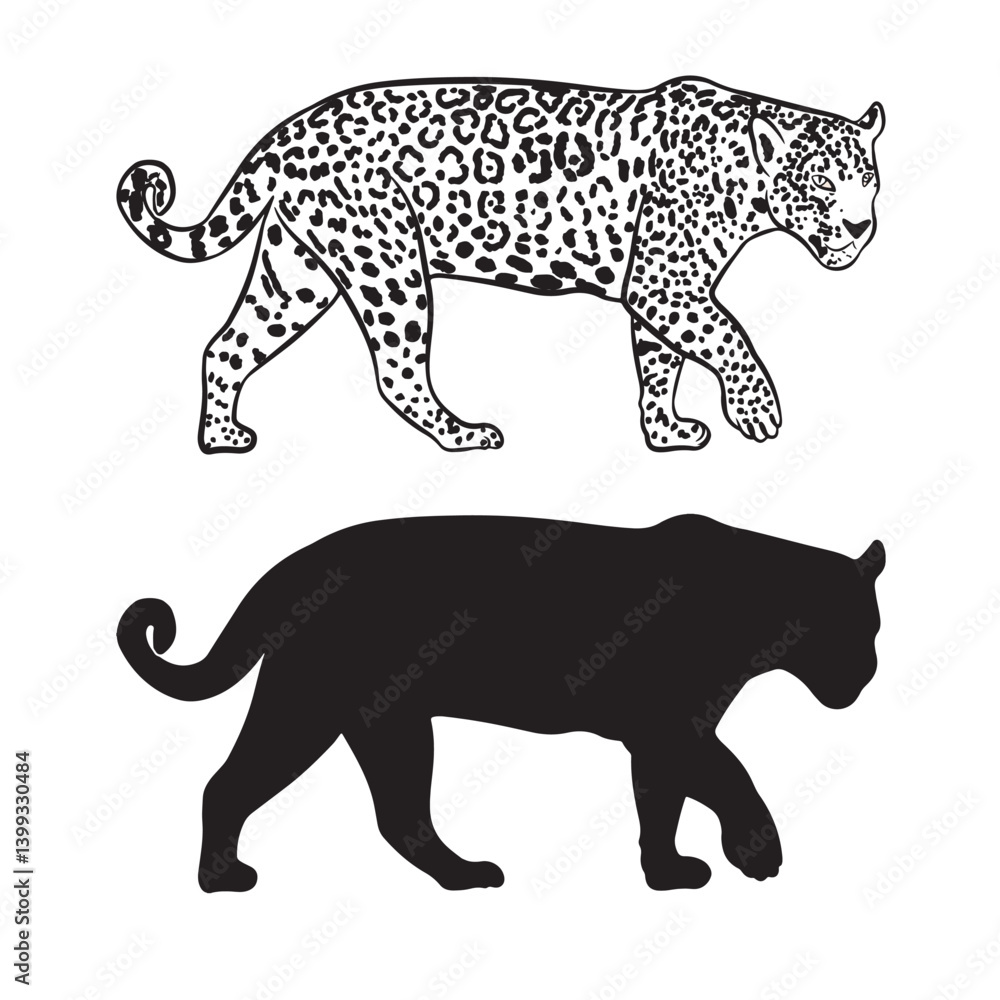 Fototapeta premium Vector drawing of Brazilian jaguar in black, white and silhouette with transparent background-01.eps