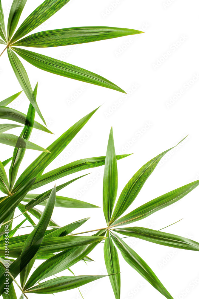 Fototapeta premium Closeup of Lush Green Tropical Leaves