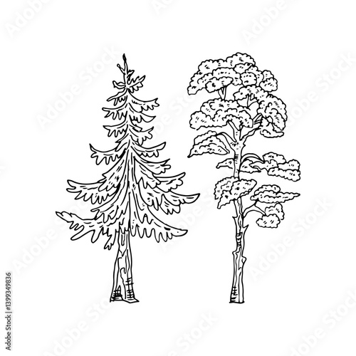 Line art hand-drawn pine tree and big tall tree nature vector illustration.