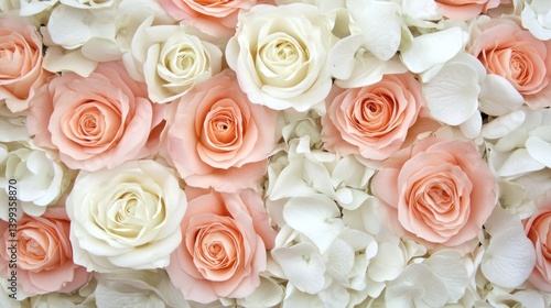 An arrangement of pink and white roses creates a floral display