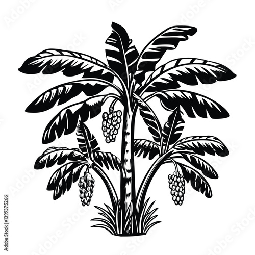 Banana Trees