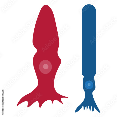 Cone cell and rod cell 