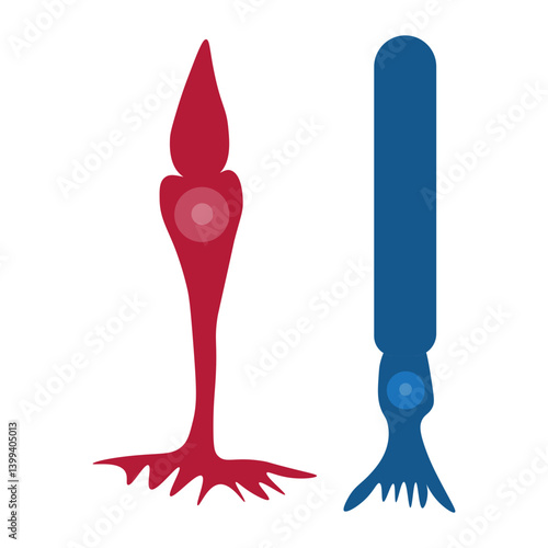 Cone cell and rod cell 