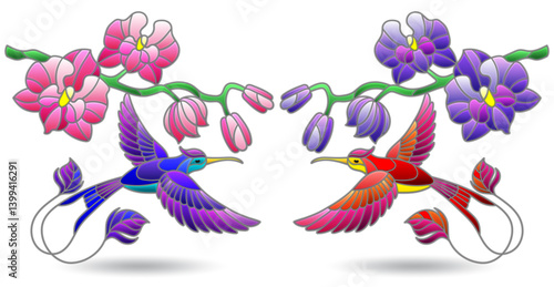 A set of contour illustrations in the style of stained glass with hummingbird birds and orchid flowers, animals isolated on a white background