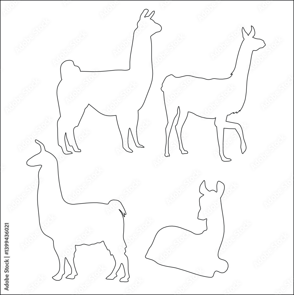 Fototapeta premium The alpaca is a domesticated species of South American camelid, closely related to the llama, vicuña, and guanaco.