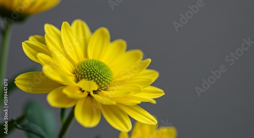 Golden Bloom's Embrace AI Generated