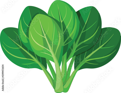 Wallpaper Mural  Fresh Spinach Leaves vector illustration  Torontodigital.ca