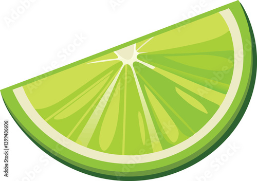  Lime slice isolated vector art work illustration