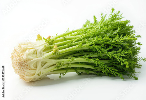Fresh Samphire Vegetable Bundle on White Background Ready for Cooking