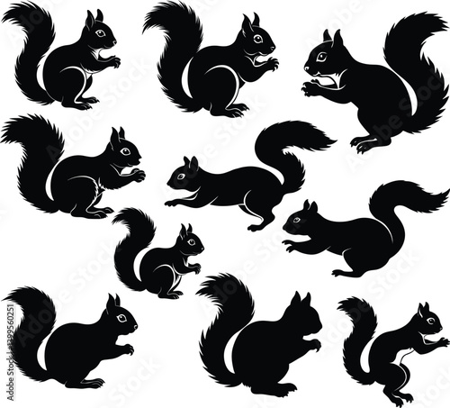 Squirrel Silhouettes Collection: A detailed collection of squirrel silhouettes, each capturing unique poses and expressions in a clean, graphic style. The monochrome design makes a bold statement.