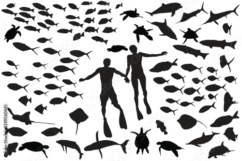 Underwater Couple Silhouette: A romantic couple snorkeling amidst a vibrant school of fish, their silhouettes creating a striking contrast against the lively marine life.