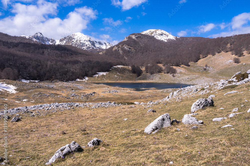 Fototapeta premium Parco Nazionale di Lazio Abruzzo e Molise: il lago vivo - Barrea (AQ) - PNALM