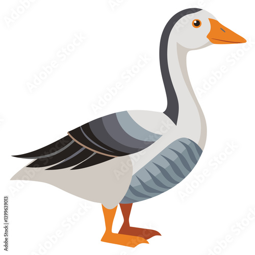 Goose isolated on white background
