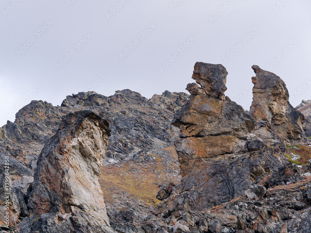 View of the rock formation at Denali National Park, Alaska, USA
View of the rock formation at Denali National Park, Alaska, USA