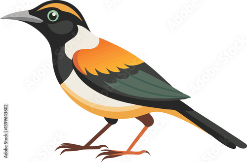 Beautiful bird white-necked thrush vector illustration 