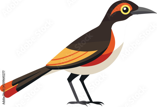 Beautiful bird white-necked thrush vector illustration 