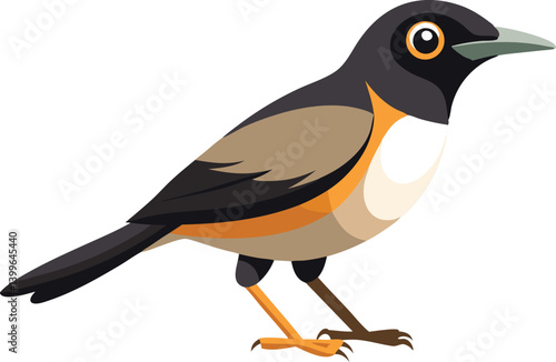 Beautiful bird white-necked thrush vector illustration 