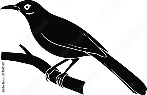 Beautiful honeyeater sitting forward on big branch silhouette black color vector illustration 